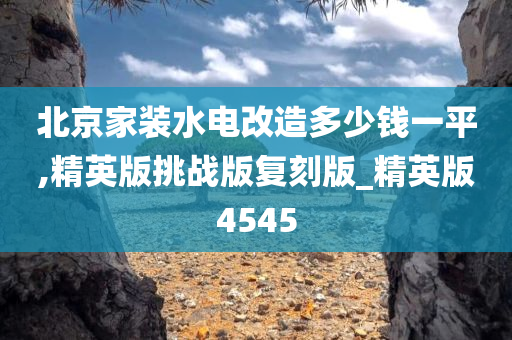 北京家装水电改造多少钱一平,精英版挑战版复刻版_精英版4545