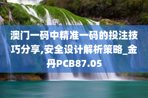 澳门一码中精准一码的投注技巧分享,安全设计解析策略_金丹PCB87.05