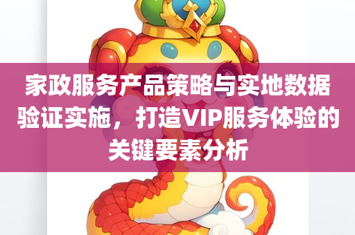 家政服务产品策略与实地数据验证实施，打造VIP服务体验的关键要素分析