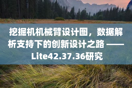 挖掘机机械臂设计图，数据解析支持下的创新设计之路 —— Lite42.37.36研究