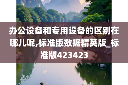 办公设备和专用设备的区别在哪儿呢,标准版数据精英版_标准版423423