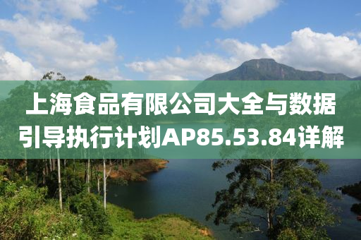 上海食品有限公司大全与数据引导执行计划AP85.53.84详解