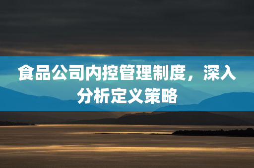 食品公司内控管理制度，深入分析定义策略