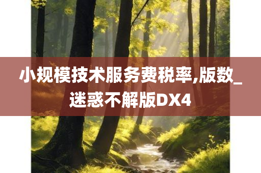 小规模技术服务费税率,版数_迷惑不解版DX4