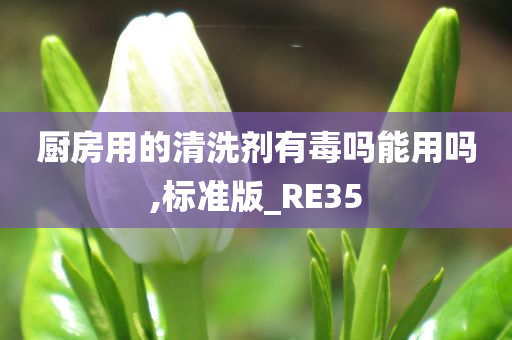 厨房用的清洗剂有毒吗能用吗,标准版_RE35