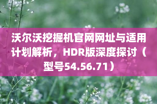 沃尔沃挖掘机官网网址与适用计划解析，HDR版深度探讨（型号54.56.71）