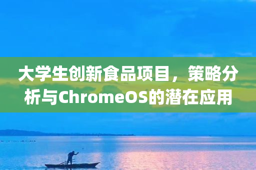 大学生创新食品项目，策略分析与ChromeOS的潜在应用