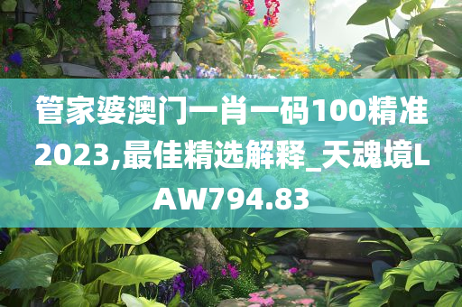 管家婆澳门一肖一码100精准2023,最佳精选解释_天魂境LAW794.83