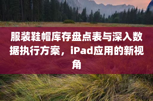 服装鞋帽库存盘点表与深入数据执行方案，iPad应用的新视角