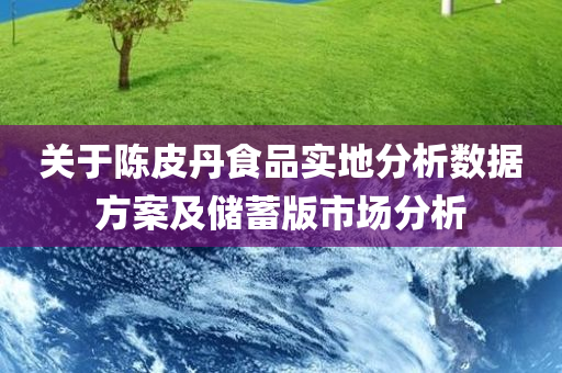 关于陈皮丹食品实地分析数据方案及储蓄版市场分析