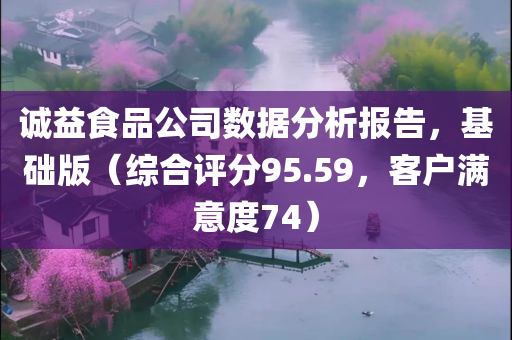 诚益食品公司数据分析报告，基础版（综合评分95.59，客户满意度74）