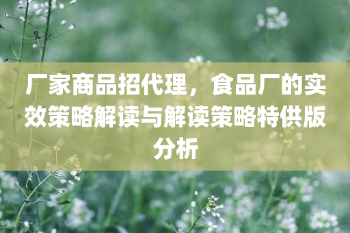 厂家商品招代理，食品厂的实效策略解读与解读策略特供版分析