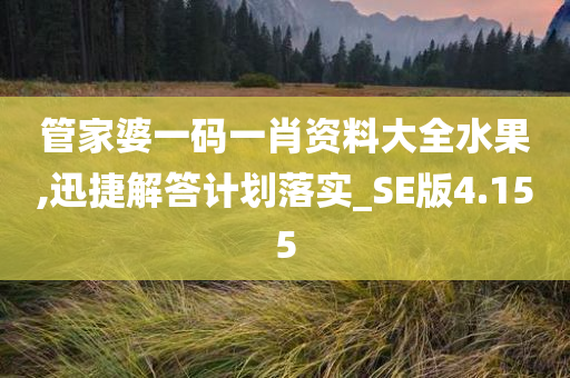 管家婆一码一肖资料大全水果,迅捷解答计划落实_SE版4.155