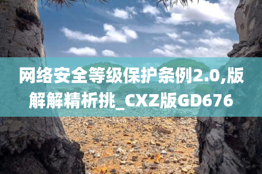 网络安全等级保护条例2.0,版解解精析挑_CXZ版GD676