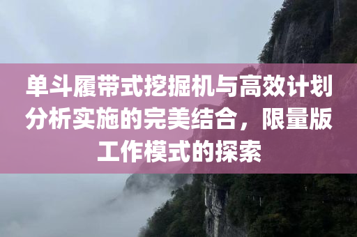 单斗履带式挖掘机与高效计划分析实施的完美结合，限量版工作模式的探索