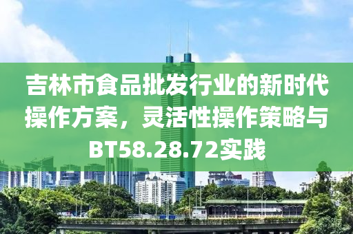 吉林市食品批发行业的新时代操作方案，灵活性操作策略与BT58.28.72实践