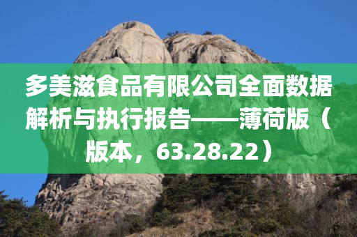 多美滋食品有限公司全面数据解析与执行报告——薄荷版（版本，63.28.22）