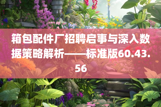 箱包配件厂招聘启事与深入数据策略解析——标准版60.43.56