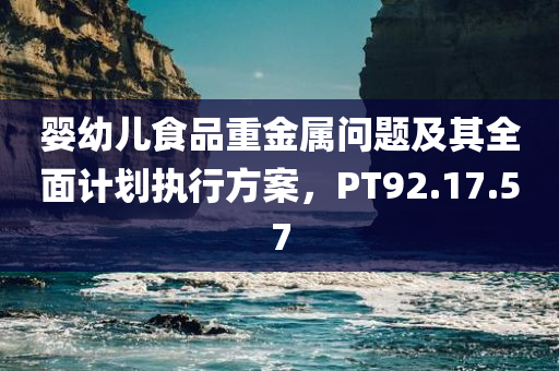 婴幼儿食品重金属问题及其全面计划执行方案，PT92.17.57