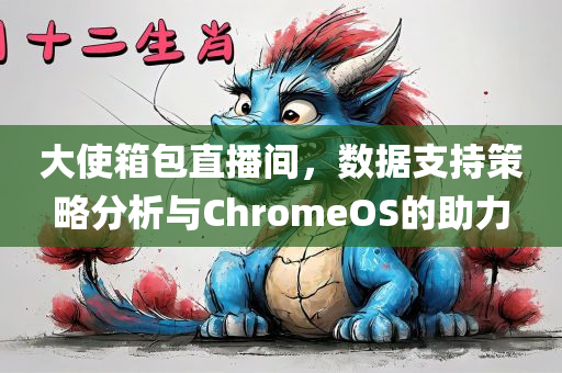 大使箱包直播间，数据支持策略分析与ChromeOS的助力