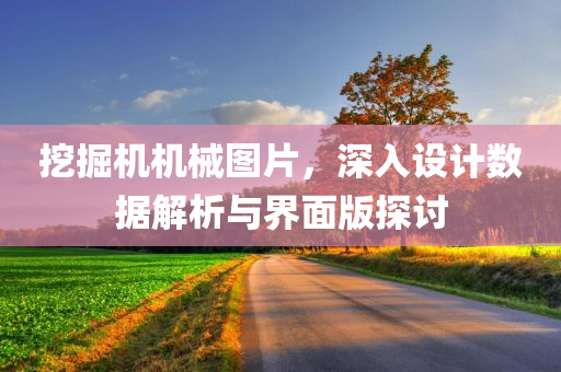 挖掘机机械图片，深入设计数据解析与界面版探讨