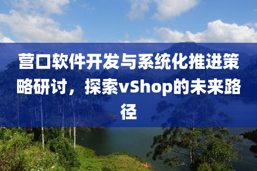 营口软件开发与系统化推进策略研讨，探索vShop的未来路径