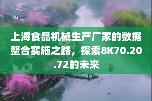 上海食品机械生产厂家的数据整合实施之路，探索8K70.20.72的未来