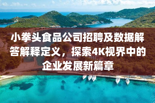 小拳头食品公司招聘及数据解答解释定义，探索4K视界中的企业发展新篇章