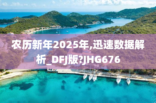 农历新年2025年,迅速数据解析_DFJ版?JHG676