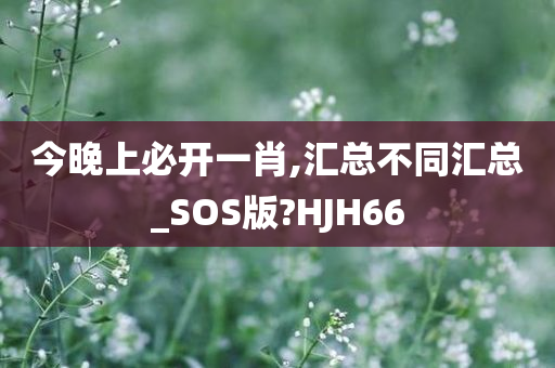 今晚上必开一肖,汇总不同汇总_SOS版?HJH66