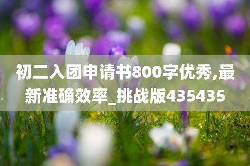 初二入团申请书800字优秀,最新准确效率_挑战版435435