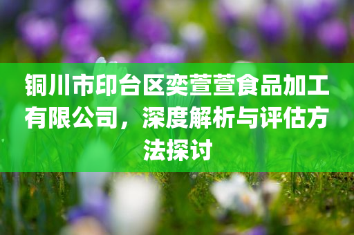 铜川市印台区奕萱萱食品加工有限公司，深度解析与评估方法探讨