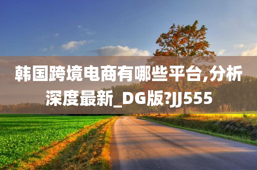 韩国跨境电商有哪些平台,分析深度最新_DG版?JJ555