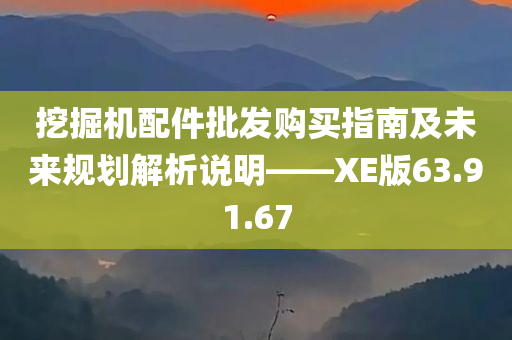 挖掘机配件批发购买指南及未来规划解析说明——XE版63.91.67