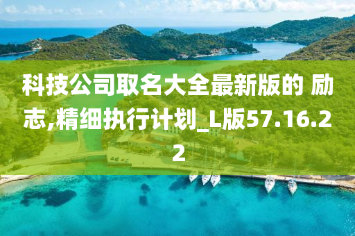 科技公司取名大全最新版的 励志,精细执行计划_L版57.16.22