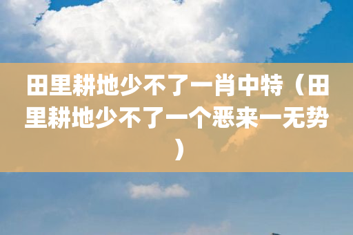 田里耕地少不了一肖中特（田里耕地少不了一个恶来一无势）