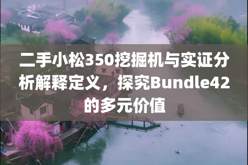 二手小松350挖掘机与实证分析解释定义，探究Bundle42的多元价值