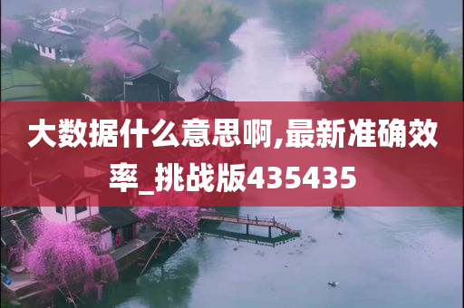 大数据什么意思啊,最新准确效率_挑战版435435