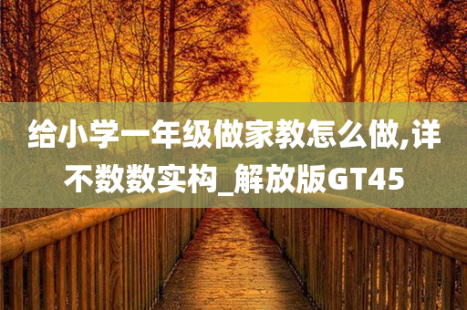 给小学一年级做家教怎么做,详不数数实构_解放版GT45