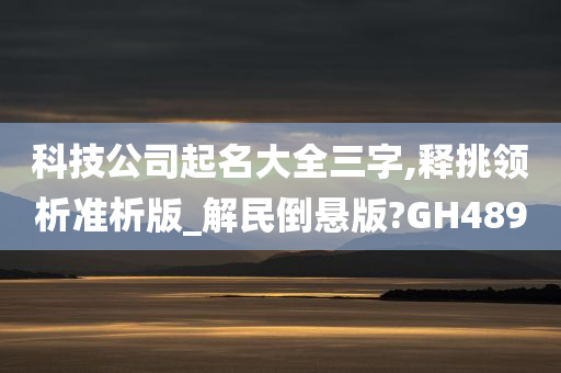 科技公司起名大全三字,释挑领析准析版_解民倒悬版?GH489