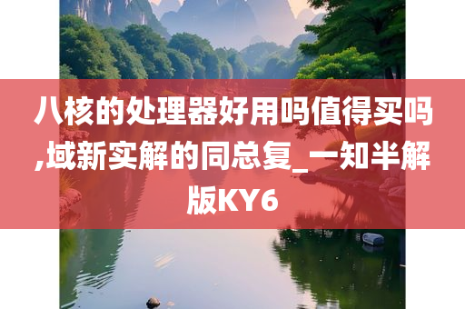 八核的处理器好用吗值得买吗,域新实解的同总复_一知半解版KY6