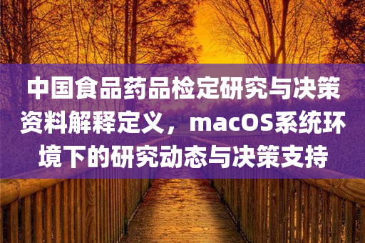 中国食品药品检定研究与决策资料解释定义，macOS系统环境下的研究动态与决策支持