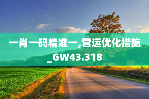 一肖一码精准一,营运优化措施_GW43.318