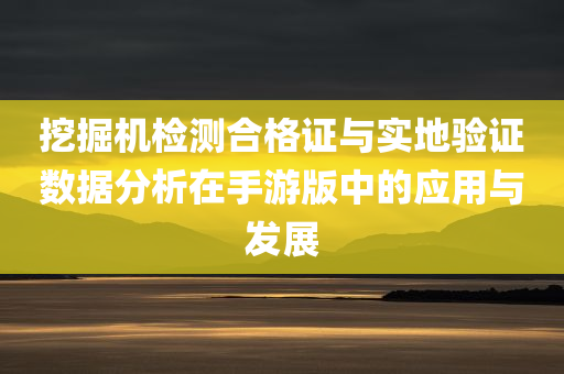 挖掘机检测合格证与实地验证数据分析在手游版中的应用与发展