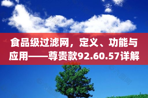 食品级过滤网，定义、功能与应用——尊贵款92.60.57详解