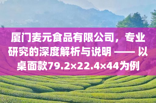 厦门麦元食品有限公司，专业研究的深度解析与说明 —— 以桌面款79.2×22.4×44为例