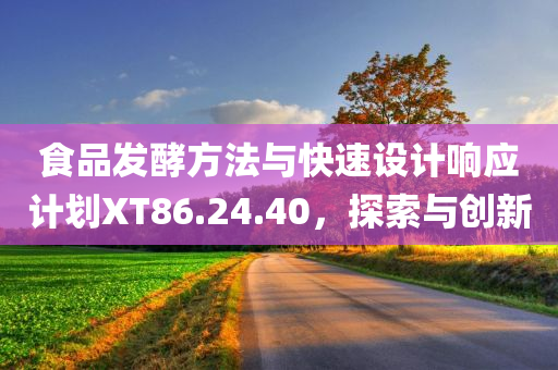 食品发酵方法与快速设计响应计划XT86.24.40，探索与创新