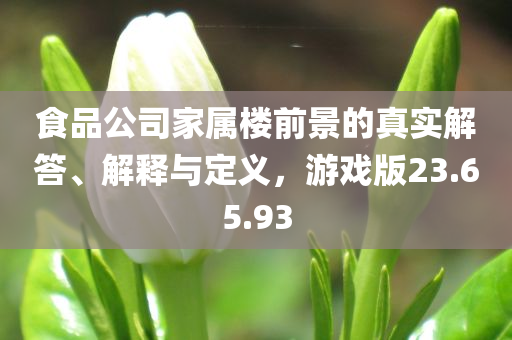 食品公司家属楼前景的真实解答、解释与定义，游戏版23.65.93