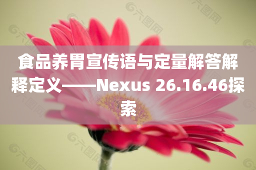 食品养胃宣传语与定量解答解释定义——Nexus 26.16.46探索