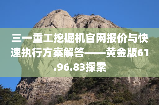 三一重工挖掘机官网报价与快速执行方案解答——黄金版61.96.83探索